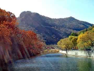 澳门期期准免费精准，百花养颜汤